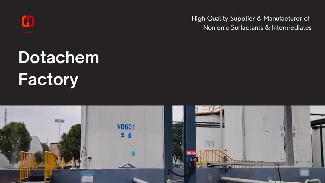 Fine Chemical Vestibulum: Welcome to the Factory Dotachem Tour!