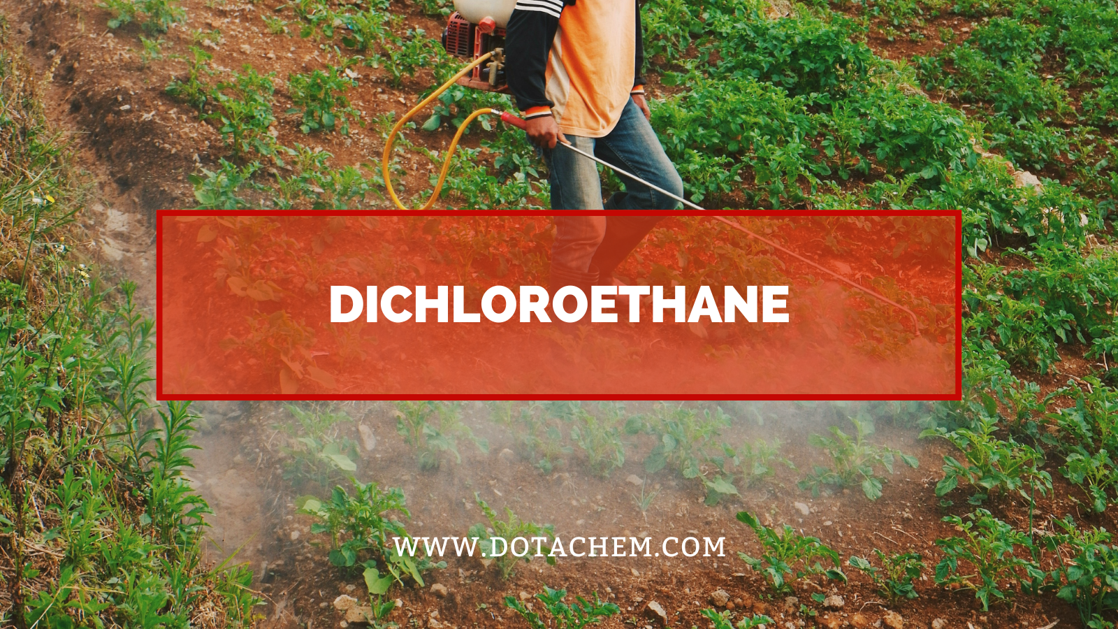 Basem datam altus efficiens industriae solutions ad dichloroethane in multiple applications
