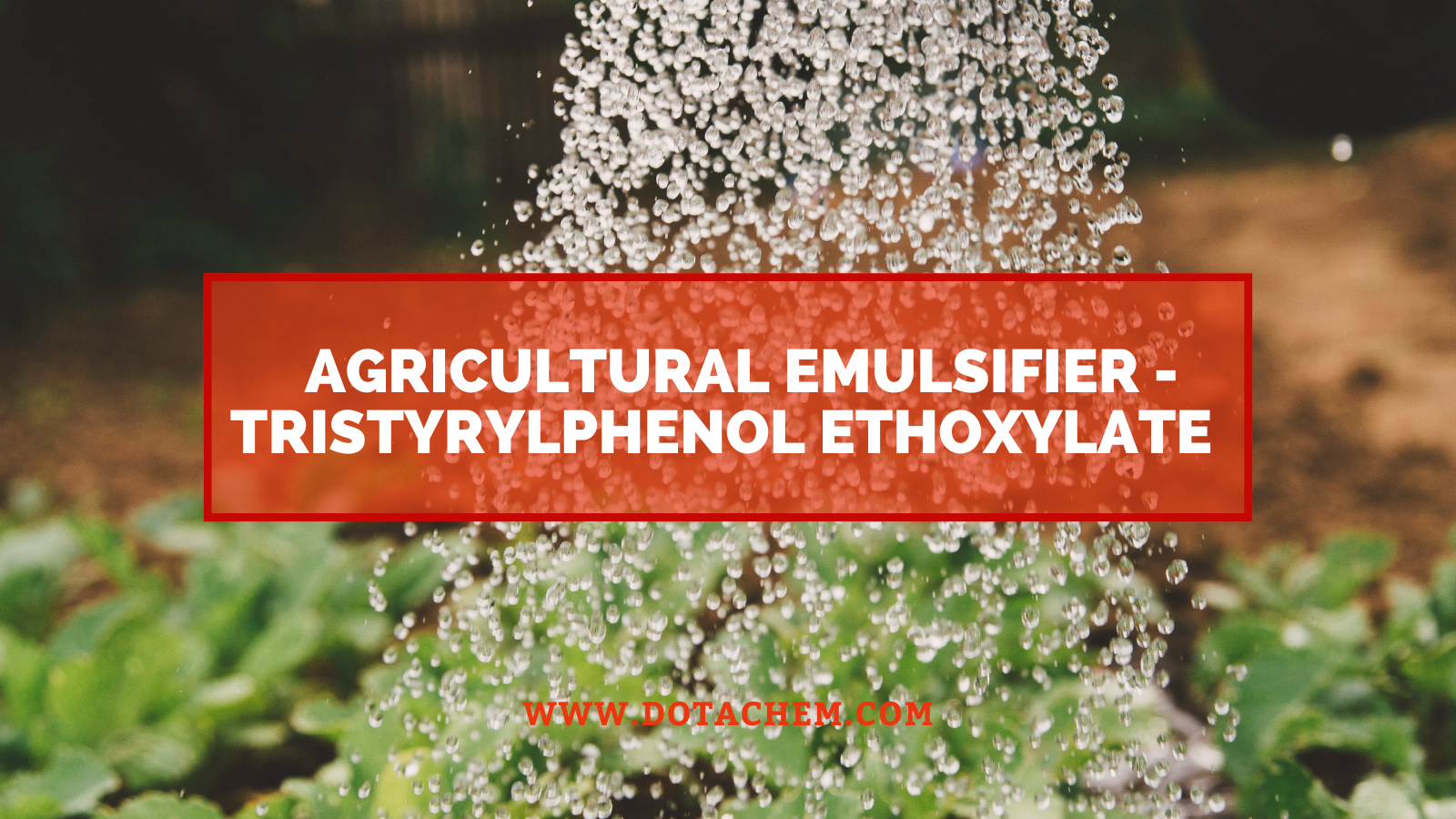 Nova electio ad emulsiatorem agriculturae - Dotachem Tristyrylphenol Ethoxylatus munere suppletur!