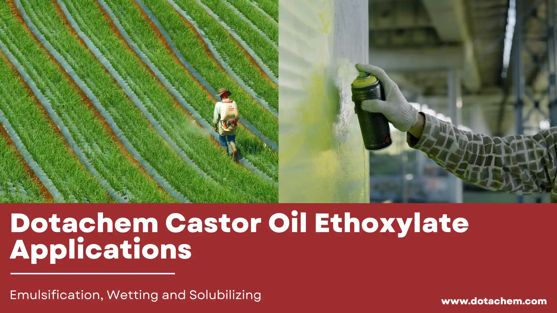 Dotachem Castor Oleum Applicationum ethoxylatarum in Emulsificatione, Urea et Solubilizing